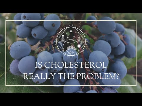 Is Cholesterol REALLY the problem?