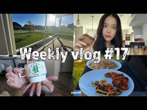 【强子的VLOG#17】六月龄宝宝喂养｜不出门在家的一天🏠｜Costco巧克力慕斯🍰｜宅家网购拆箱碎碎念📦｜后院铁板烧🍖｜老王干活受伤了🩹