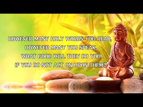 Best Buddha Quotes on Life with Meditation Music