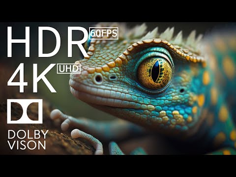 4K HDR 120fps Dolby Vision with Animal Sounds (Colorfully Dynamic) #81