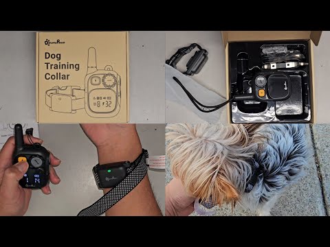 Small Dog Puppy Rechargeable Training E Collar Waterproof Ipx7 Receiver Ipx5 Remote Test and Review