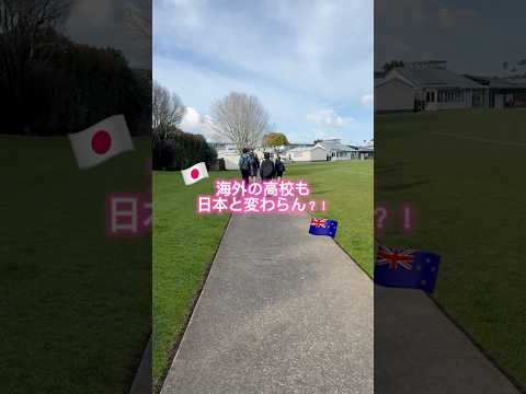 【高校留学】みんな知ってた⁉️留学のリアル#高校留学 #留学生の日常 #高校生 #おすすめ #留学のリアル #留学 #海外留学 #あるある #ニュージーランド留学 #jk