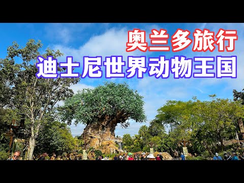 【游乐园】奥兰多迪士尼世界动物王国｜animal kingdom ｜世界最全阿凡达主题游玩｜科技与动物园的结合｜最佳的亲子旅游｜现实中童话绘本里的树｜