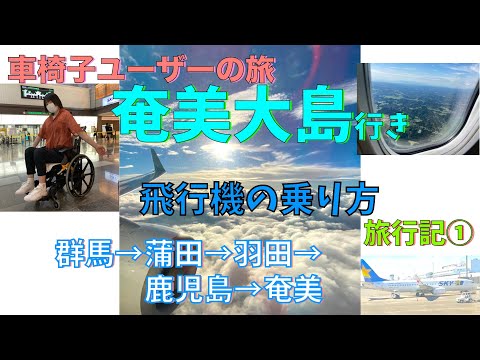 【番外編】車椅子ユーザー奄美大島へ行く　旅行記奄美大島Vol.1