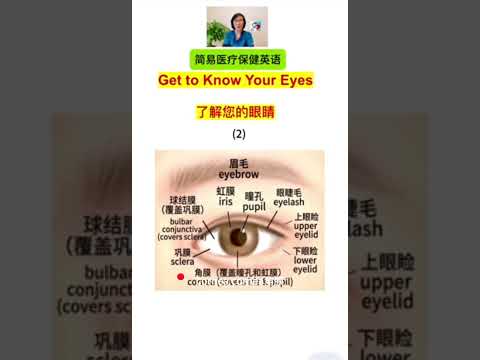 Get to Know Your Eyes 了解您的眼睛 (2)