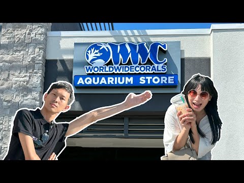 【藍箱水族】美國最強海水水族店 WorldWideCoral (winter park店) 詳細開箱全紀錄(CC) WWC aquarium tour in Orlando 奧蘭多水族館巡禮-第二彈