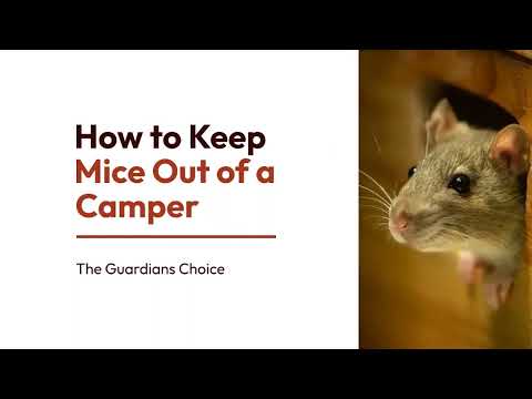 Pest-Free Rving | How To Keep Mice Out Of A Camper | The Guardian's Choice