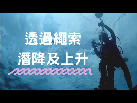 新手求救 「『繩助攻』潛降＆上升」沖繩 ‧ FUN潛水 ‧ Pink Mermaid 潛水知識＋