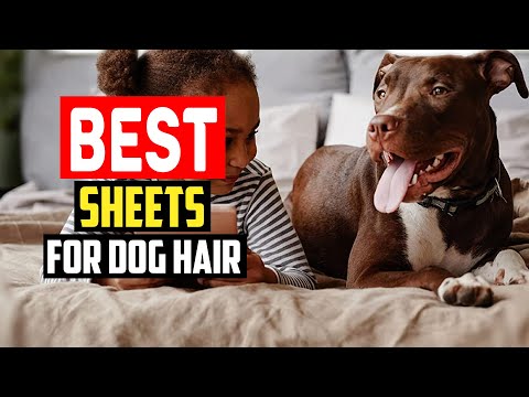 ✅Top 5 Best Sheets for Dog Hair Reviews in 2023