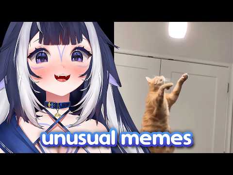 Shylily Reacts to Unusual Memes Compilation V283