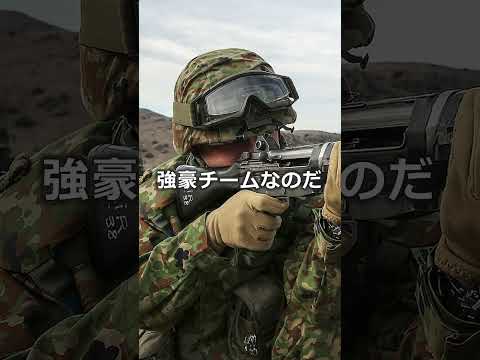 自衛隊は実戦経験がないから役立たずという人へ