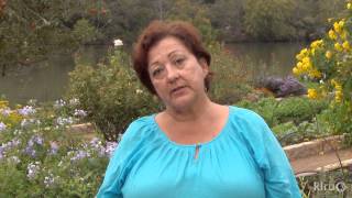 Winter vegetable tips | Trisha Shirey | Central Texas Gardener