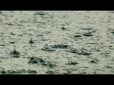 【環境音】雨の音【作業・勉強・睡眠・瞑想・ヨガ】