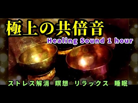 【演奏1時間　シンギングボウル】 極上の共倍音～ストレス解消、瞑想、リラックス、睡眠　早春の風景