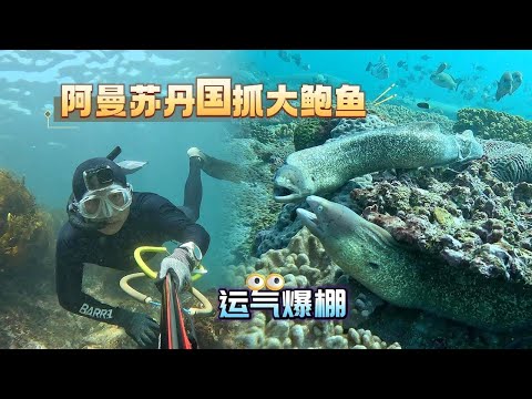 《Oman自驾》第17集：探索中东神秘海域，居然大鲍鱼泛滥