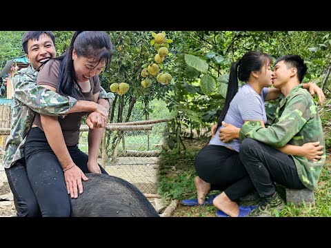 Linh's and Dan go with her to harvest fruit, go to the market and take care of the farm.