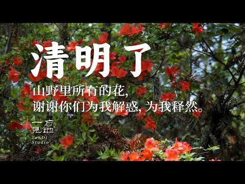 清明了，我在离去的人那里放下小花，小花为我传达永远说不完的话#清明