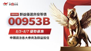 優選債 收益如虎添翼｜【00953B群益優選非投等債】高CP特色篇