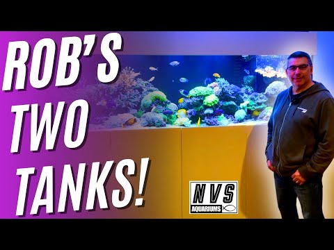 Rob's Two Tanks! - Plus NVS Aquarium Lids