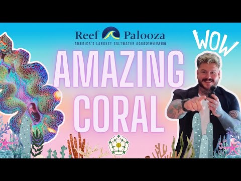 REEFAPALOOZA ORLANDO 2024 | The Worlds Largest Saltwater Aquarium Show | Amazing Coral!