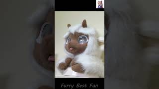 BEST Furry TikToks compilation 0660 #shorts #furrytiktok #furry  #funnyvideo  #youtube   #furries