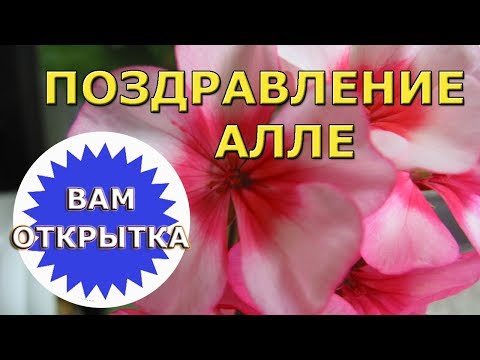 Поздравление Алле