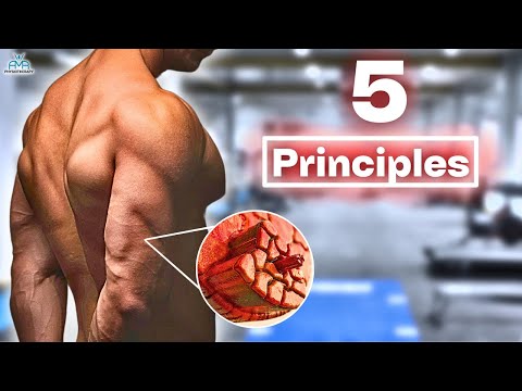 How To Reduce Injury Risk While Building Muscle!