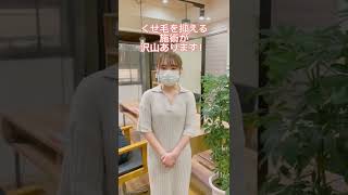 新潟県/長岡市/美容室/白髪染め/しょうへいの店