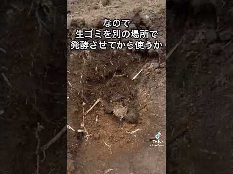 生ゴミは発酵後に力を発揮します #家庭菜園 #ガーデニング