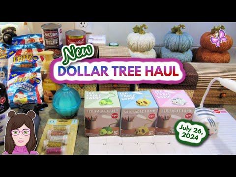 Amazing Dollar Tree Haul! Awesome Finds!! July 26, 2024