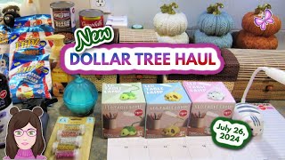 Amazing Dollar Tree Haul! Awesome Finds!! July 26, 2024