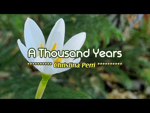 A THOUSAND YEARS - (Karaoke Version) - in the style of Christina Perri