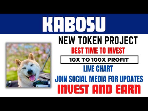 New Kabosu meme token full review