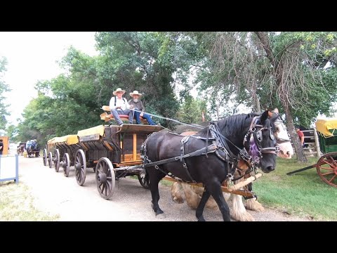 Pioneer Village & Petting Zoo MedicineHat