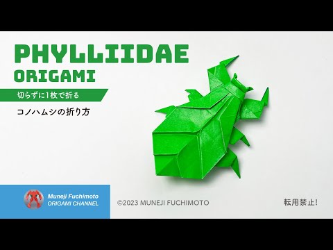 「折り紙」コノハムシ（Phylliidae origami）の折り方