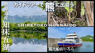 北海道で熊に遭遇‼️知床五湖ガイドツアーで熊に出会う【世界遺産 知床 VLOG vol.2】オホーツク自然堂の認定ガイドツアー/知床観光船おーろら🌟 SHIRETOKO HOKKAIDO