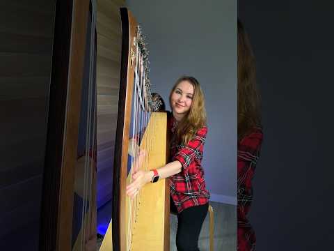 Готовы к финалу «Пацанов»? #арфа #harp #leverharp #theboys #homelander #homelandertheme