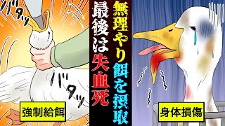 【実話】劣悪環境で強制摂食・・拷問のようなフォアグラの生産方法とは【漫画】