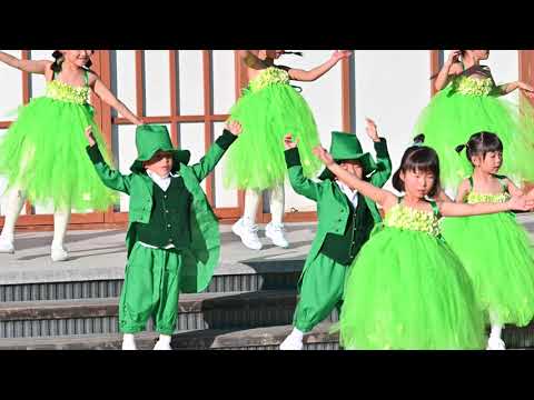 Link standard　高知旅広場演舞　その1　2021年11月14日