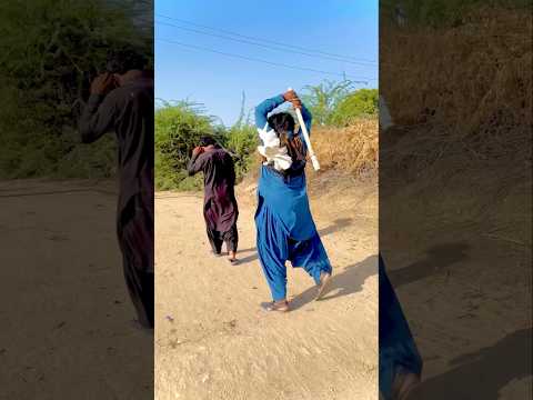 Kabootar ne meri jaan bachaye 🕊️😍😘#love #youtubeshorts #shortvideo #villagelife