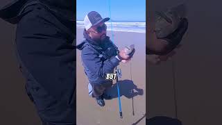 Big surf perch on craw bait on size 2 hook #fishingcalifornia