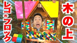 I spent an entire day in a LEGO treehouse!