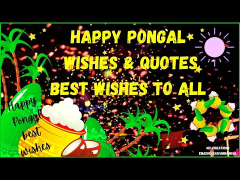 Happy Pongal 2022 wishes| Happy pongal wishes|Happy Pongal whatsapp status| happy pongal status