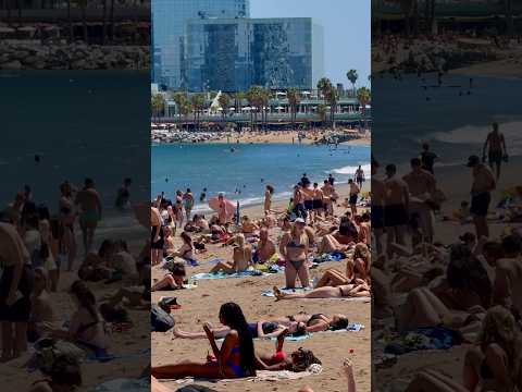 巴塞羅那夏日的海灘/Summer beach in Barcelona #西班牙 #海滩#巴塞罗那