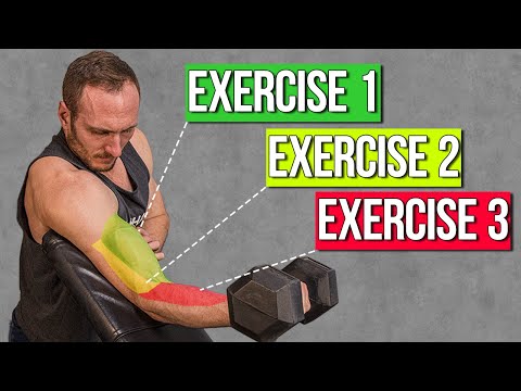 The BEST Bicep Exercises & How To Grow Your Arms - Science of Training