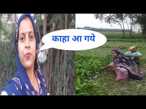 हम काहा चल दिऐ |ऐ बिडियो जरूर देखिए ❤#gunjanfamily #shorts #viral #daliy #video