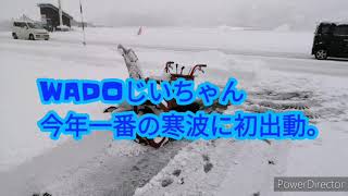 WADOじいちゃん、Part 3　 今季一番の寒波に初出動。