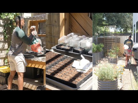 FALL SEED STARTING | CHICKENS | GLOG 010