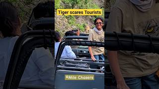 Tiger scares tourists in Jim Corbett #shorts #tiger #trending