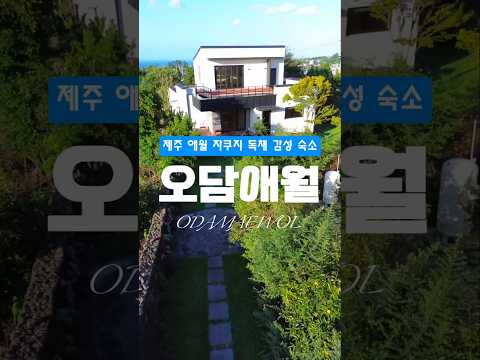 30만 원대 가성비 숙소라고??  제주 애월읍 장전리에 위치한 프리미엄 감성 숙소 오담애월 최대 7인까지 가능 제주 가족 여행숙소로 강력 추천